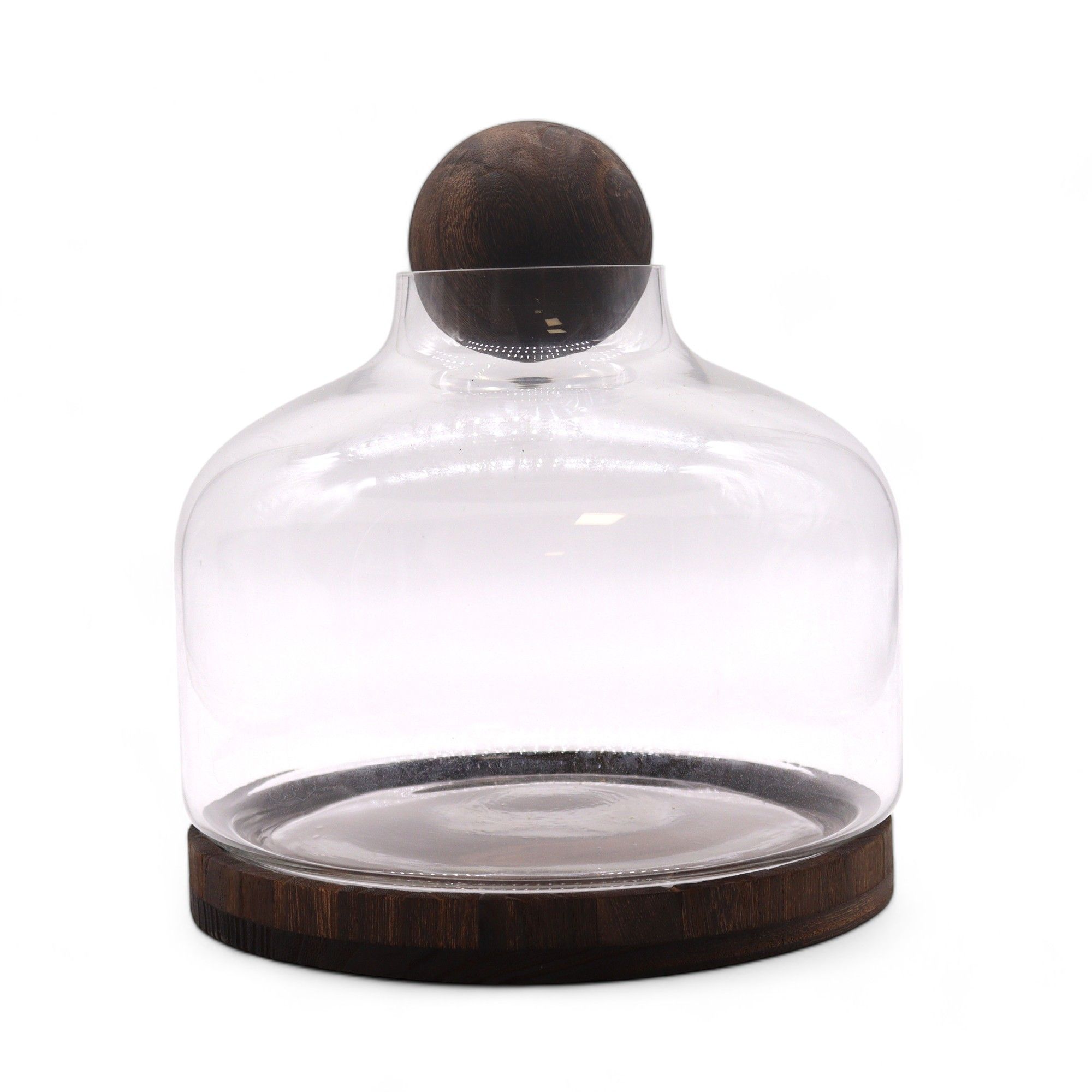 Eine kleine Welt für sich – Das Kugel-Terrarium aus Holz & Glas – Bild 3