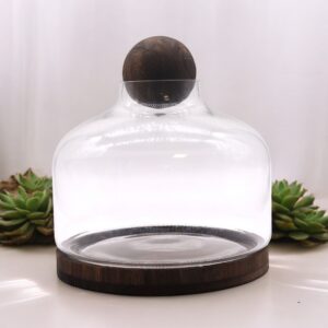 Eine kleine Welt für sich – Das Kugel-Terrarium aus Holz & Glas