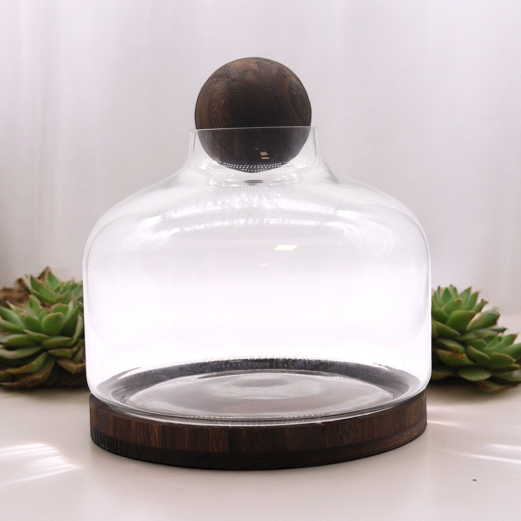Eine kleine Welt für sich – Das Kugel-Terrarium aus Holz & Glas