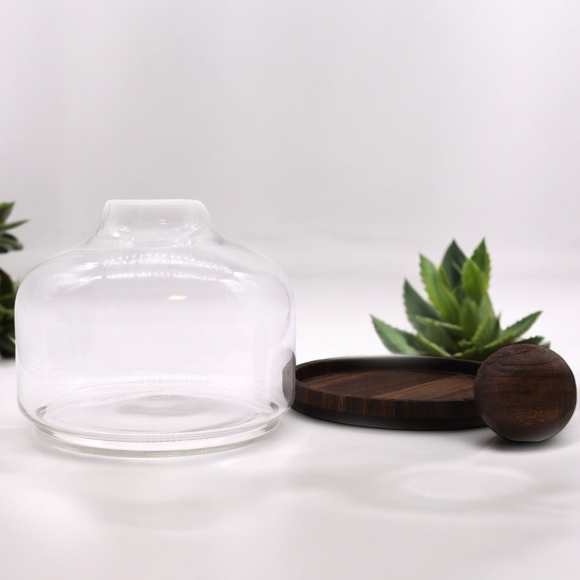 Eine kleine Welt für sich – Das Kugel-Terrarium aus Holz & Glas – Bild 4