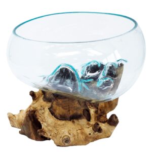 Zwischen Glas & Holz – Eine Schale voller Möglichkeiten