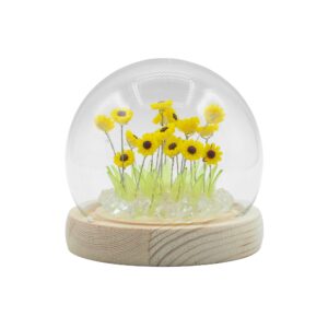 Sonnenmoment – Ein Stück Sommer unter Glas